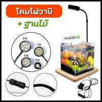 โคมไฟวาบิ + ฐานไม้ สำหรับ Wabi Kusa, Terrarium(สวนขวด), Cactus, ตู้ไม้น้ำ | บ้านไม้น้ำ?