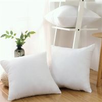 Ho cushion throw square home pillow sofa pillow pillow core (45cm*45cm)