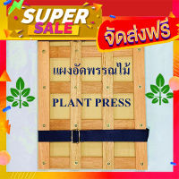 ส่งฟรี แผงอัดพรรณไม้ PLANT PRESS โปรโมชั่น เก็บปลายทาง