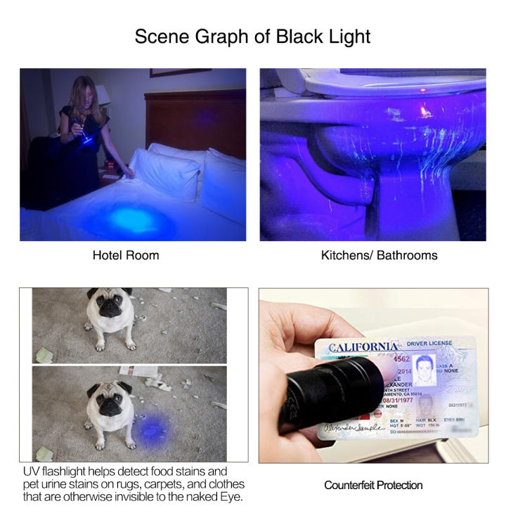 แสงสีดำไฟฉายยูวี12-leds-395nm-อัลตราไวโอเลตปัสสาวะตรวจจับไฟฉาย-linterna-สำหรับสุนัขแมวสัตว์เลี้ยงปัสสาวะและคราบแห้ง