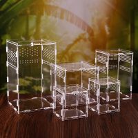 Reptile Breeding Box Acrylic Spider Lizard Scorpion Entis Acrylic Assembled Transparent Insect Breathable Terrarium