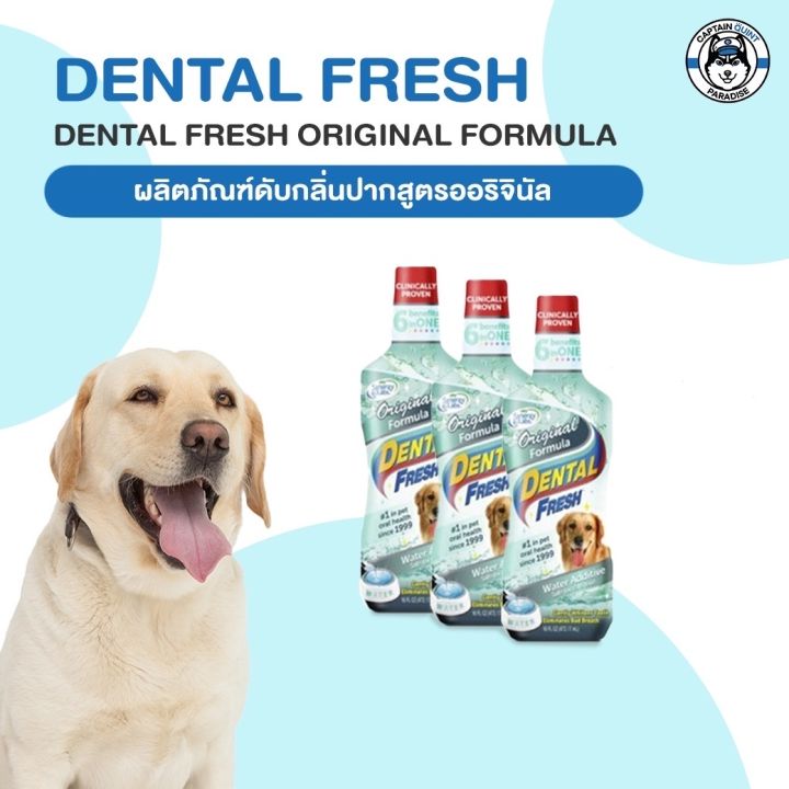 dental-fresh-น้ำยาลดกลิ่นปากสุนัข-ดูแลสุขภาพในช่องปาก-ลดหินปูน