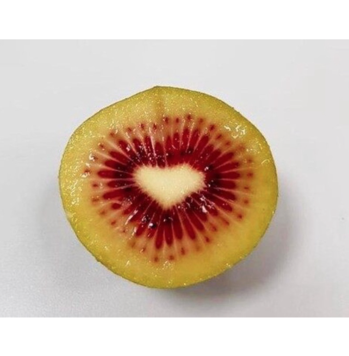 kiwi-กีวีฟรุต-กีวี่เขียวทzespri-กีวีทอง-zespri-golden-kiwi