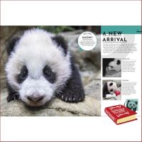 Lifestyle &amp;gt;&amp;gt;&amp;gt; หนังสือ BEHIND THE SCENES AT THE ZOO DORLING KINDERSLEY