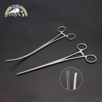 ⊕✗ Bowel Clamps Bowel forceps Doyen Intestinal Clamps Straight Curved 25cm Veterinary Surgical Instruments