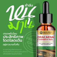 สารสกัดสมุนไพรธรรมชาติ กำลังหนุมาน (Dracaena Conferta Ridl)  ชนิดน้ำ เข้มข้น 25 มล.