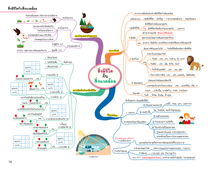 science-map-สรุปเนื้อหาวิทยาศาสตร์-ระดับประถมปลาย