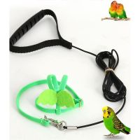 Pet Parrot Bird Harness and Leash Adjustable Training Design Anti-Bite Bird Rope with Cute Wing for Parrots Wholesale