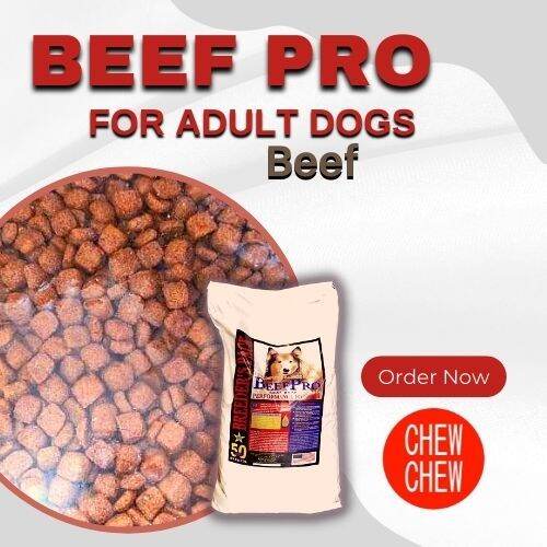 BEEF PRO for Adult Dogs Beef Lazada PH