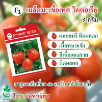 เมล็ดพันธุ์มะเขือเทศ ลูกผสม F1 วิคตอเรีย ตรา ใบไม้ ขนาด 5 กรัม จำนวน 1 ซอง จาก ไดนามิคพันธุ์พืช Hybrid Tomato seeds (Victoria) 5 grams from Dynamic Seeds