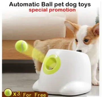 Electric dog ball clearance thrower