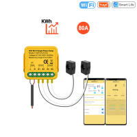 PangYa Tuya สมาร์ท2ทาง WiFi ช่อง1/2สองทางเครื่องวัดพลังงานพร้อมที่หนีบมอนิเตอร์ App พลังงานแสงอาทิตย์ที่ผลิตและสิ้นเปลืองพลังงาน AC110V 240V