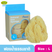 Pureen เพียวรีน ฟองน้ำแท้ธรรมชาติเพียวรีน ไซส์ L