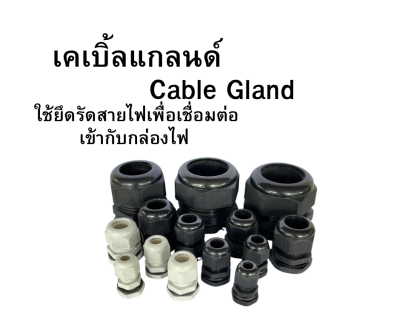 เคเบิ้ลแกลนด์ เคเบิ้ลแกลน Cable Gland PG9 PG11 PG13.5 PG16 PG19 PG21 PG29 PG36 PG42 PG48