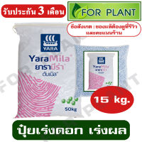 ปุ๋ย สูตร 8-24-24 ตรายารา มีร่า เเบ่งบรรจุ 15 กิโลกรัม ปุ๋ยเร่ง ต้น ใบ ดอก ผล ใส่ผัก ผลไม้ ไม้ดอกไม้ประดับ