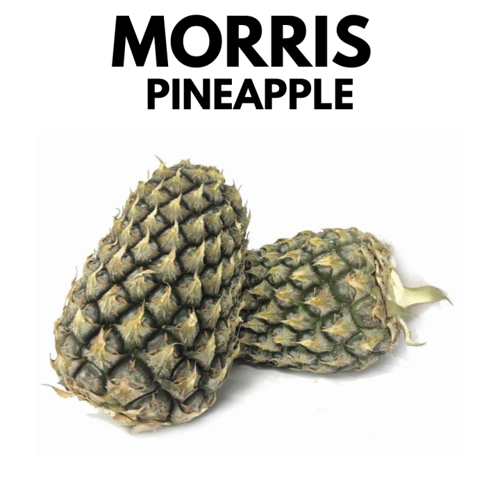 Morris Pineapple Nenas (1 piece) Fresh Fruits [Klang Valley] Lazada