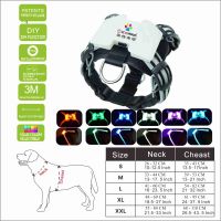 CC Simon Dogled guarde braces for a dog 7 in 1 color Dog Harness Glowing USB Led Collar Puppy Lead Pets Vest Dog Leads