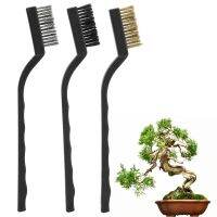 【LZ】 Bonsai Brush Cleaning Wire Brush Mini Trunk for Brush Garden Cleaning Tool Cleaning Tool Burr Bonsai