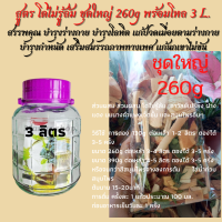 โด่ไม่รู้ล้ม ชุดใหญ่ 260 กรัม พร้อมโหล3L สุ ดยอด สมุนไพร ชงดื่ม ต้ม ดอง ส่งฟรี มีบริการปลายทาง