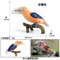 Simulation model of birds eagle owl wildlife seagull peregrine falcon bald eagles children cognitive toys