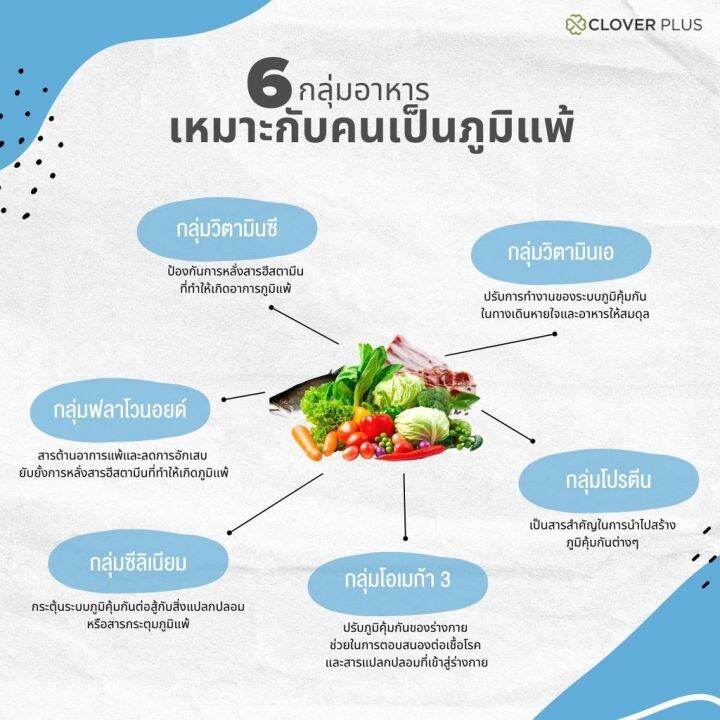 clover-plus-ims-อาหารเสริม-ป้องกันหวัด-ภูมิแพ้-30แคปซูล-แพ็ค-12-กระปุก