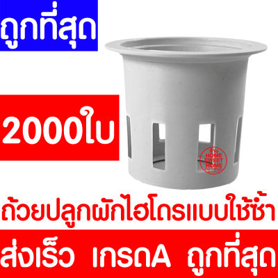 *ค่าส่งถูก* ถ้วยปลูกผัก 2000ใบ ถ้วยปลูกผักไฮโดรโปนิกส์ ถ้วยปลูกผักไฮโดร ถ้วยปลูกขาว สีขาว แบบใช้ซ้ำ ไฮโดรโปนิกส์ ไฮโดร hydroponic hydro