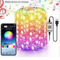 App Control LED String 3AA Waterproof 8 Function Remote Control Color Light Beautiful Bar K Garden Light