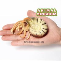 Animal Kingdom - โมเดล Nautiloid หอย นอติลอยด์ น้ำตาล ขนาด 10.50 CM (จากสงขลา)