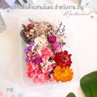 ดอกไม้แห้งแฮนด์เมด เหมาะกับงานตกแต่ง DIY พร้อมส่ง!!! คละสี ? ?