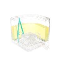 Ant Farm Gel Maze 3D การศึกษา Nursery Live Feeding System ความแปลกใหม่ Habitat New