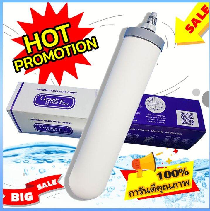 ***ราคาพิเศษ*** ไส้กรองน้ำดื่มเซรามิคฝาสีเทา Ceramic Water Filter