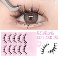 5คู่ Lash Extension 3D Bunch ญี่ปุ่น Fairy ขนตาปลอม Little Devil Cosplay