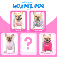 ชุดเก็บขน wonder dog เสื้อสุนัข เสื้อหมา เสื้อแมว ชุดกันขนร่วงสุนัข ชุดหมา ชุดแมว ชุดสัตว์เลี้ยง