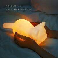 คาริโน่ไฟกลางคืนแมวน่ารัก Lampada Ada Alimentata A Batteria Fo Gattino Bianco Principessa กล้อง Da Letto Decorazione Caldo Regdi