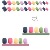 Rainbow Jumping Colours False Nails Solid Colour Macaroon Nails Wearable Press on Nails Full Cover Nail Tips