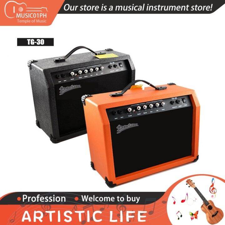 Deviser TG30 Electric Guitar Amplifier Audio Speaker Damage Will Be