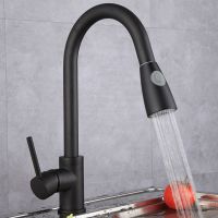 ☃▣✌ Kitchen Faucets Silver Black Single Handle Pull Out Kitchen Tap Single Hole Handle Swivel 360 Degree Water Mixer Tap Mixer Tap