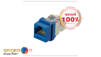 PANDUIT UTP RJ45 Cat 6 Keystone Jack Module, Blue NK6TMBU รับประกันของแท้ 100%