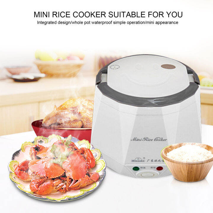 12V 100W 1.6L Portable Electric Mini Rice Cooker Microwave Rice Box