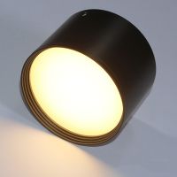 Surface Mounted Ceiling Lamp SMD5730 5W7W12W18W AC85-265V COB Indoor Lighting Spotlight Led Driver