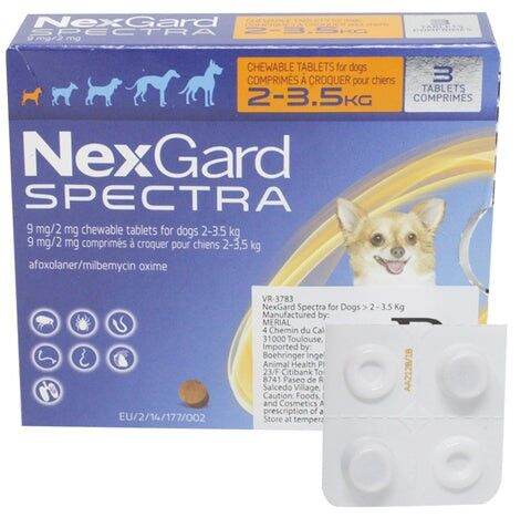 NEXGARD SPECTRA CHEWABLE FOR DOGS 2 TO 3.5 KG (1 TABLET ONLY) | Lazada PH