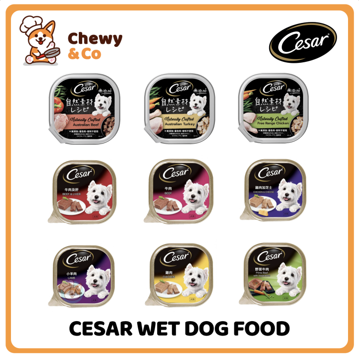 Cesar Wet Dog Food 100g | Lazada PH