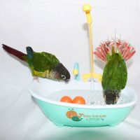 Parrot Automatic Bathtub Bird Shower Bathing Tub Shower Feeder Bowl for Pet Small Medium Parrot Parakeet Lovebird