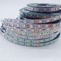 SMD 5050 RGB LED Strip Waterproof 5M 300LED DC 12V 24V RGB RGBW RGBWW pink Blue Red Green Fita LED Light Strips Flexi