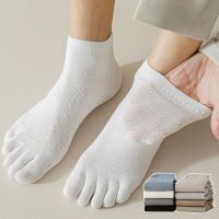 3pairs Men Socks with Fingers Cotton Breathable Mens Toe Sock Sweat-absorbing Elastic Sokken Five-finger Running Sports Socks