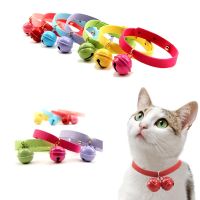 【CW】 SUPREPET 1PC Color Collar Dog Chihuahua Neck  Supplies