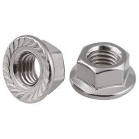 Serrated Flange Lock Nuts Left Thread 304 A2 Stainless Hex Nut M5 M6 M8 M10 M12 Nails  Screws Fasteners