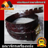 Genuine 100% Crocodile เก็บเงินปลายทาง เข็มขัดหนังจระเข้แท้ๆ เป็นช่วงกระดูกหลัง ถึงปลายห่าง (สีน้ำตาล)