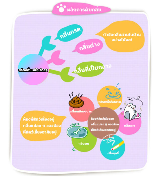 ไม่ทำร้ายสัตว์เลี้ยง-lpp-ดับกลิ่นฉี่แมว-สเปรย์ดับกลิ่นฉี่-cat-สเปรย์ดับกลิ่นฉี่แมว-น้ำยาดับกลิ่น-dog-500ml-ฉีด1ครั้ง3วันไม่เหม็น-ต้านเชื้อแบคทีเรีย-ดับกลิ่น-น้ำยาดับฉี่หมา-น้ำยาดับฉี่แมว-เม็ดดับกลิ่นท