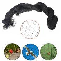 Anti Bird Netting 300cm Width 6/20M Length Strong Nylon Protect Cover Net Pigeon Run Black Garden Anti Bird Netting Fruit Veg Colanders Food Strainers